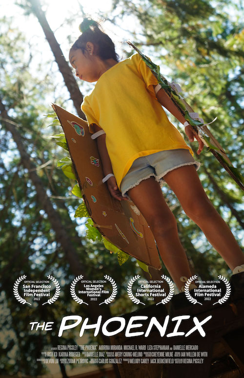 Project Image:  Please upload an image CROPPED TO 500px WIDE and saved at smaller than 1MB.