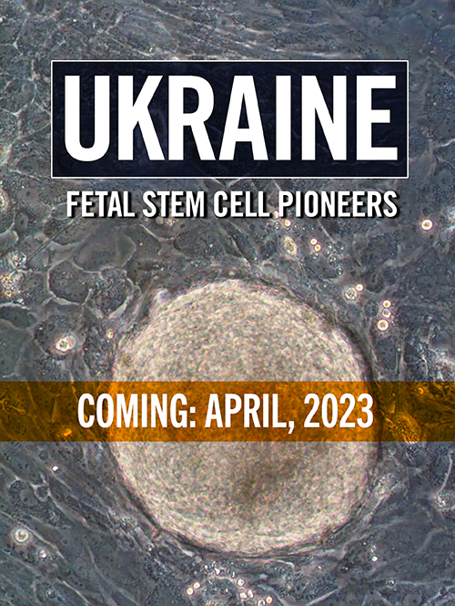 Project Image:  Please upload an image CROPPED TO 500px WIDE and saved at smaller than 1MB.