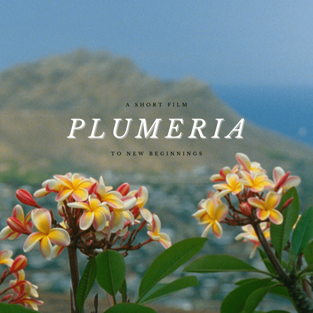 Project Image:  Please upload an image CROPPED TO 500px WIDE and saved at smaller than 1MB.