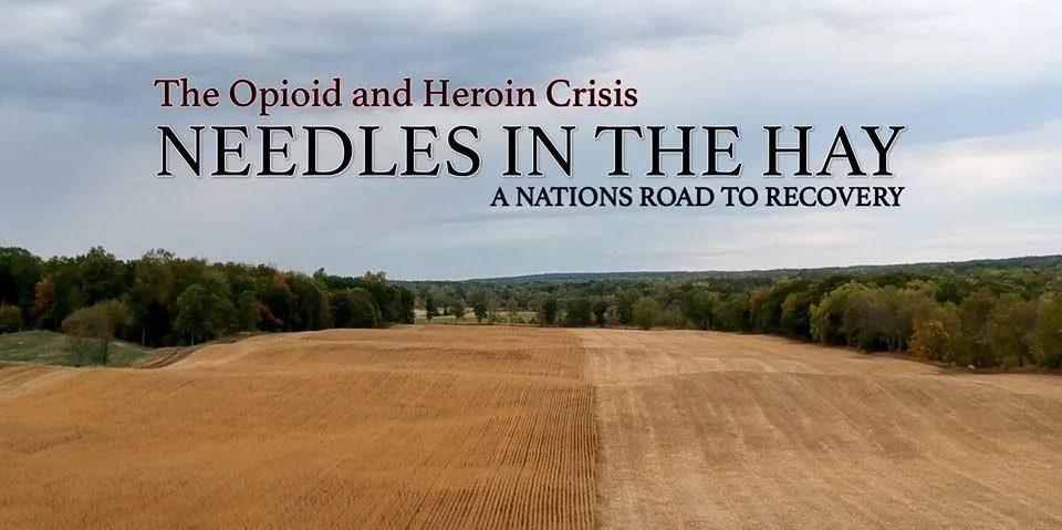 Project Image:  Please upload an image CROPPED TO 500px WIDE and saved at smaller than 1MB.