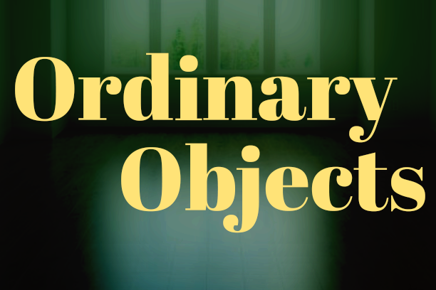 Project Image:  Please upload an image CROPPED TO 500px WIDE and saved at smaller than 1MB.