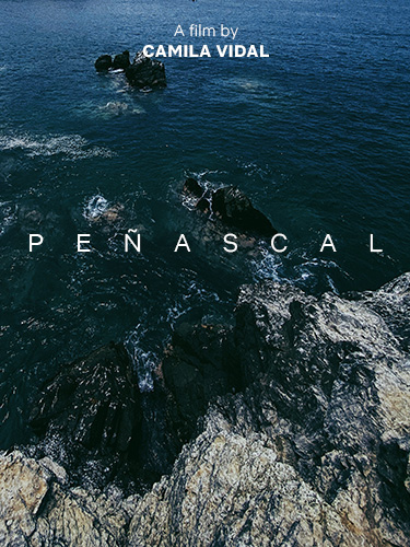 Project Image:  Please upload an image CROPPED TO 500px WIDE and saved at smaller than 1MB.