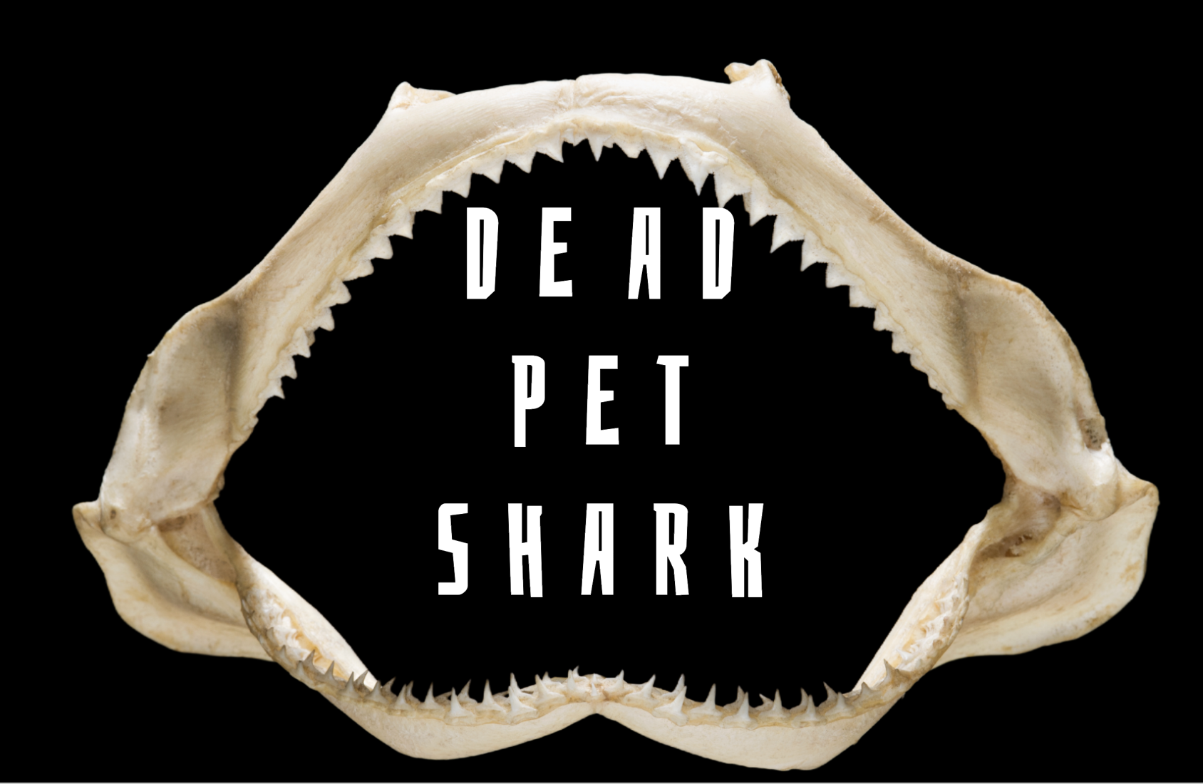 Project Image:  Please upload an image CROPPED TO 500px WIDE and saved at smaller than 1MB.