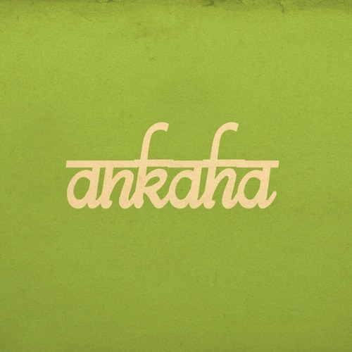 Project Image:  Please upload an image CROPPED TO 500px WIDE and saved at smaller than 1MB.