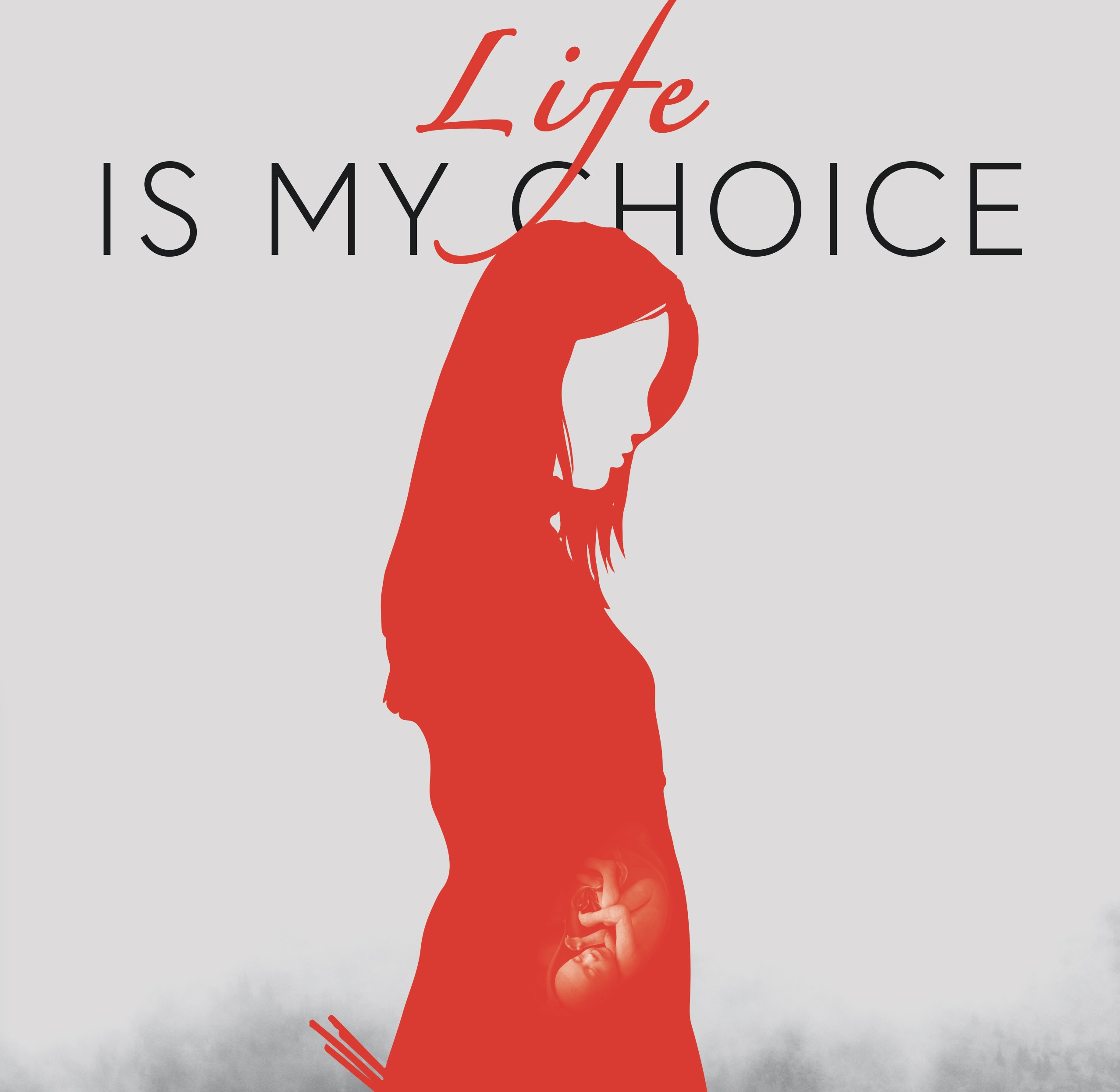 Project Image: Please upload an image CROPPED TO 500px WIDE and saved at smaller than 1MB.