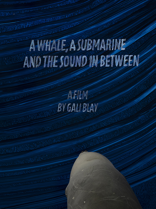 Project Image:  Please upload an image CROPPED TO 500px WIDE and saved at smaller than 1MB.