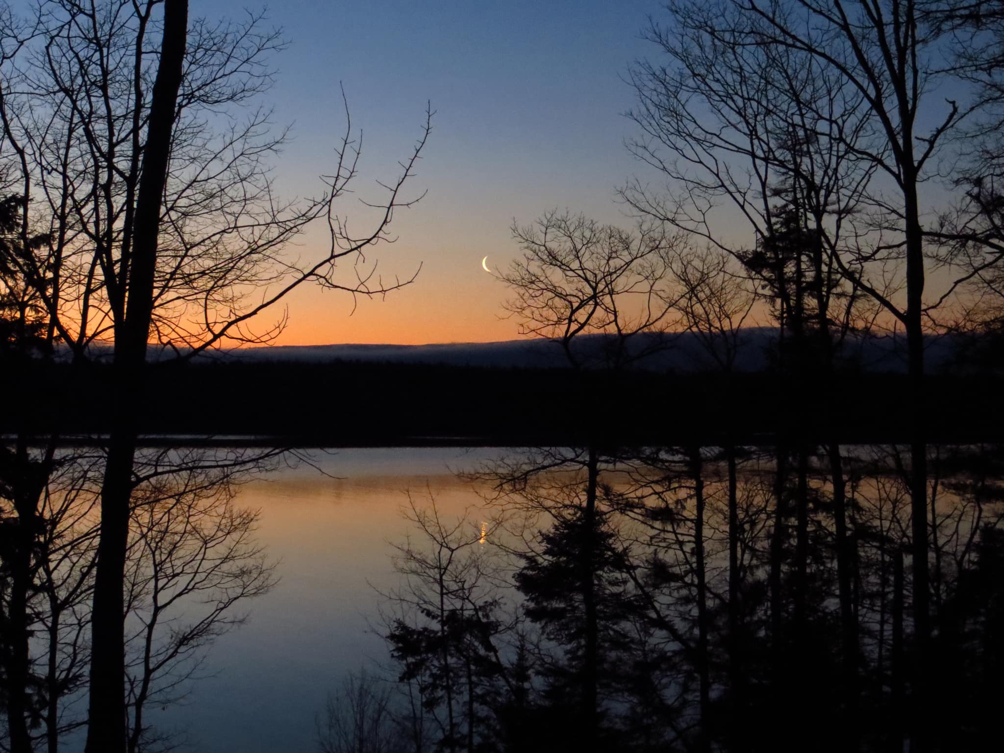 Project Image:  Please upload an image CROPPED TO 500px WIDE and saved at smaller than 1MB.