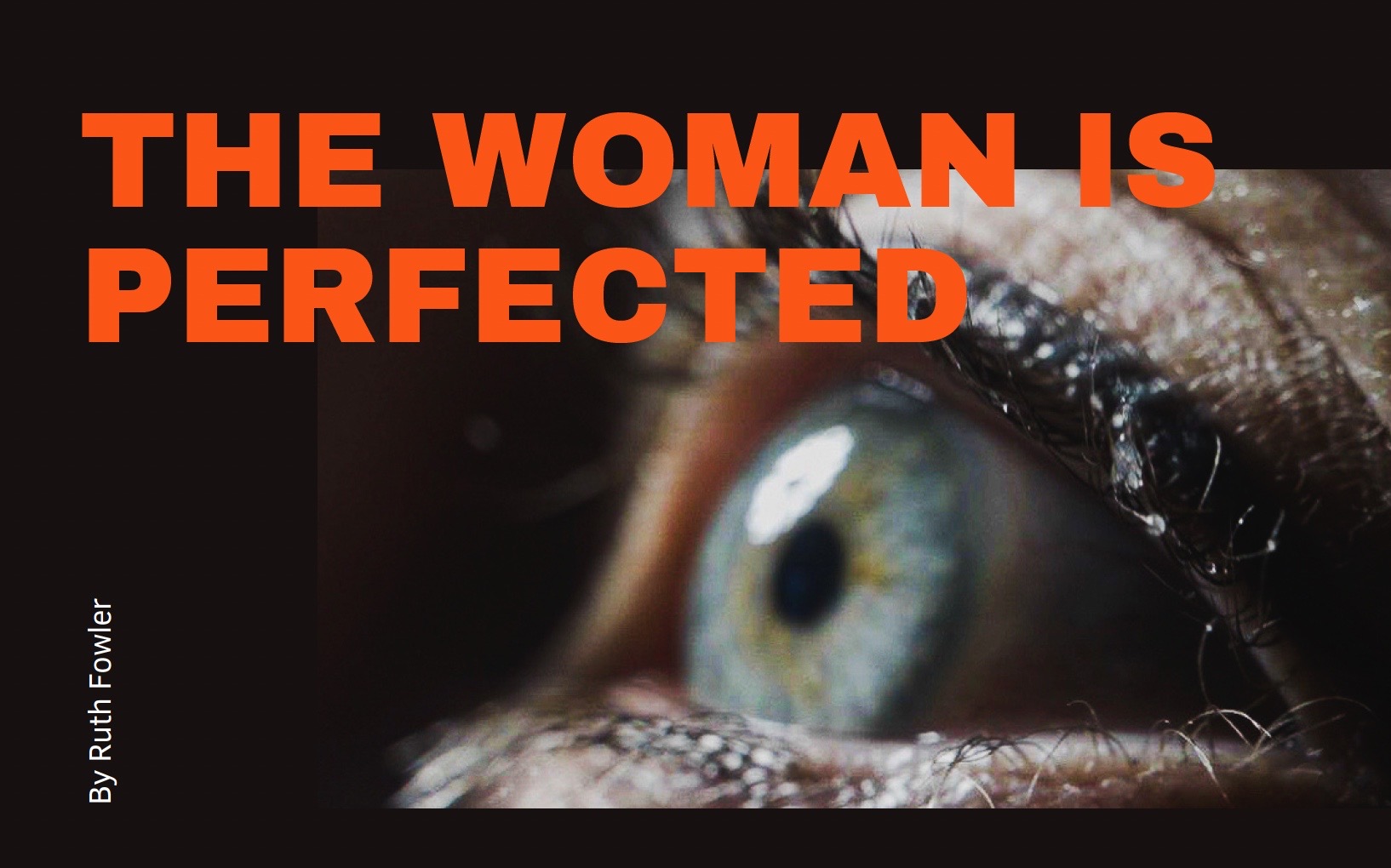 Project Image:  Please upload an image CROPPED TO 500px WIDE and saved at smaller than 1MB.