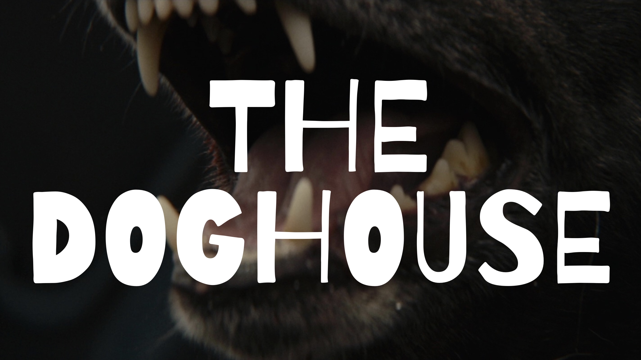 Project Image:  Please upload an image CROPPED TO 500px WIDE and saved at smaller than 1MB.