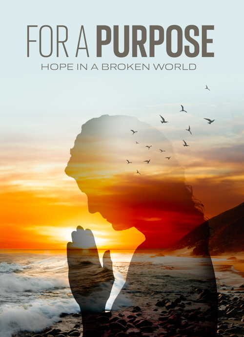 Project Image:  Please upload an image CROPPED TO 500px WIDE and saved at smaller than 1MB.