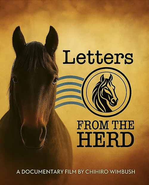 Project Image: Please upload an image CROPPED TO 500px WIDE and saved at smaller than 1MB.