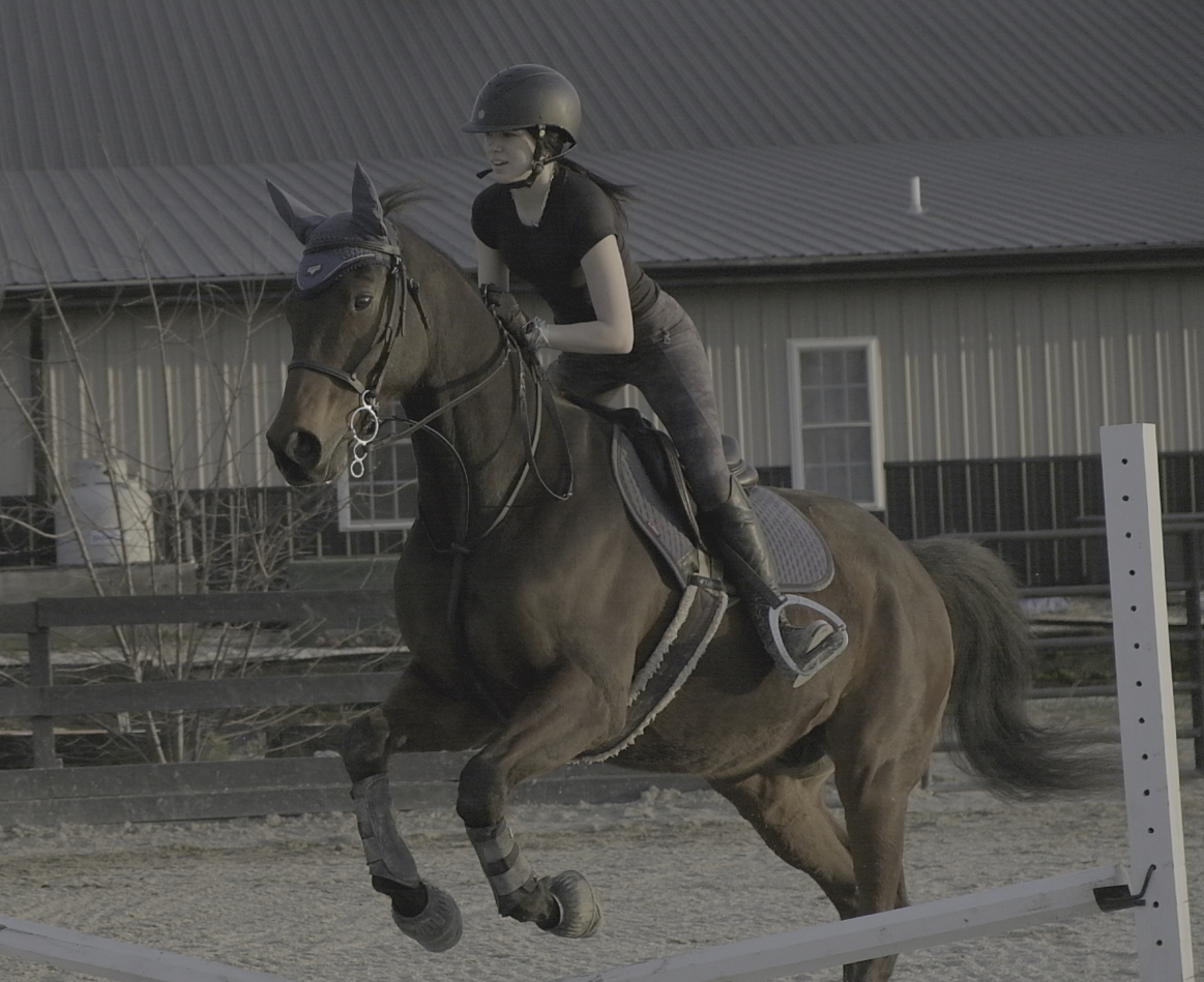 Project Image: Please upload an image CROPPED TO 500px WIDE and saved at smaller than 1MB.