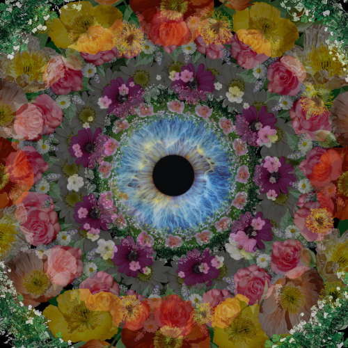 Project Image: Please upload an image CROPPED TO 500px WIDE and saved at smaller than 1MB.